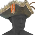 Image of Enlarged Tricorne in codex search.