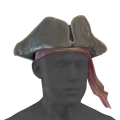 Image of Pilfered Tricorne in codex search.