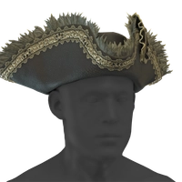 Prized Bicorne icon