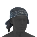 Image of Shaolin Sentinel in codex search.
