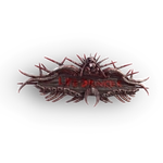 Lifedrinker icon
