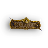Seeker icon
