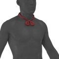 Image of Devil's Bow Cravat in codex search.
