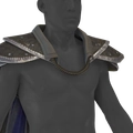 Image of Gilded Pauldrons in codex search.