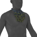 Image of Vile Jabot in codex search.