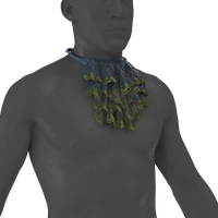 Vile Jabot icon