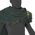 Image of Warden's Ward in codex search.