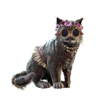 Aisha icon