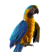 Biru icon