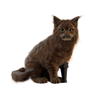 Brave Neko icon