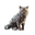 Chandrika Icon