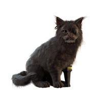First Mate Whiskers icon