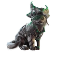 Image of Ghostly in codex search.