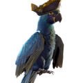Image of Johnny Blue in codex search.