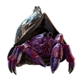 Image of Lil' Morion in codex search.