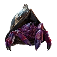 Lil' Morion icon