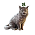 Image of Lucky Clover in codex search.