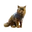 Pegpaw Icon