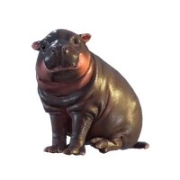 Puddles icon