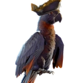 Image of Pumpkinbeak in codex search.
