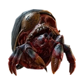 Image of Redbeard in codex search.