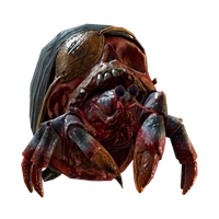 Redbeard icon