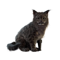 Sheldon icon