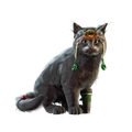 Image of Shen in codex search.