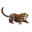 Sitara Icon
