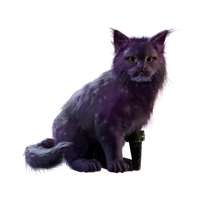 Tilly Twilight icon