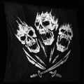 Image of Embers of Revenge in codex search.