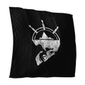 Image of Head Trauma in codex search.