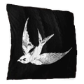 Image of Skimwing in codex search.