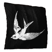 Skimwing icon