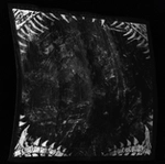 Bone's Edge icon