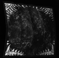 Bone's Edge icon