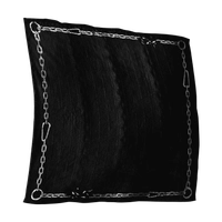 Chained Destiny icon