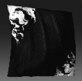Hissing Defiance icon