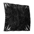 Image of Scraped Sides in codex search.