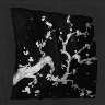 Shadow in the Grove icon
