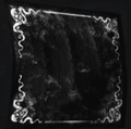 Image of Suckerswirl in codex search.