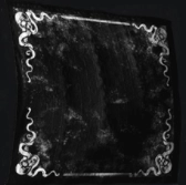 Suckerswirl icon