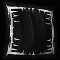 Image of Windeater in codex search.