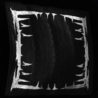 Windeater icon