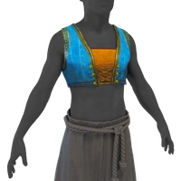 Azure Vest icon