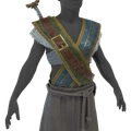 Image of Bay Tunic in codex search.