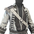 Image of Clouded Silver in codex search.