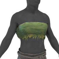 Dissident Garment icon