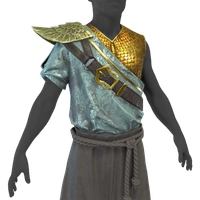 Eagle Wing Tunic icon
