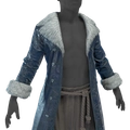 Image of Frost Cursed Cloak in codex search.